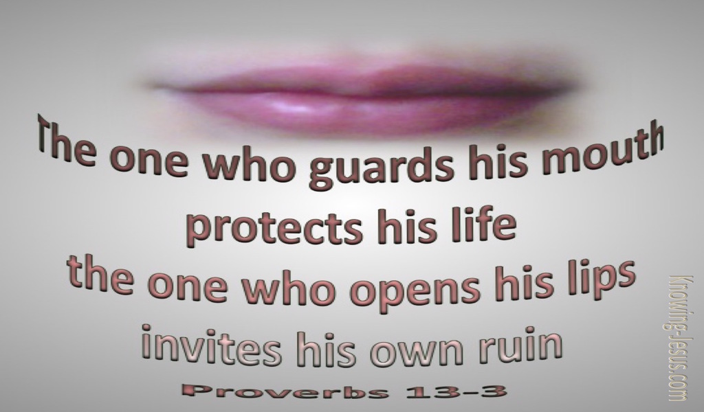 Proverbs 13:3 Guard Your Mouth (gray)